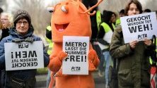 Протест в Дюселдорф, Германия, преди срещата на акционерите в Metro. Затруднената финансово верига магазини подписа предварително споразумение за продажба с консорциум.