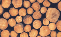 Двама работници пострадаха при инцидент в цех в село Смилян