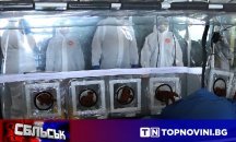 СБЛЪСЪК: Справя ли се държавата с осведомяването на обществото за коронавируса?