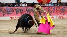 Перуанският матадор Рока Рей в битка с бика Зоро в Богота, Колумбия.