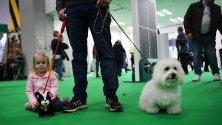 Посетители на кучешкото шоу Crufts в Бирмингам, Великобритания.