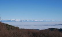Йорданка Фандъкова забрани достъпа до Витоша