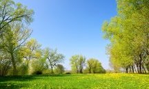 Гл. ас. д-р Нено Александров: Сечта на гори, когато тя е научнообоснована, подобрява състоянието и функциите на водата