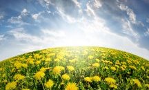 Информационни срещи за Натура 2000 се проведоха в Плевен