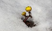 Отслабват валежите, остава студено