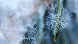 Какво време ни очаква през февруари