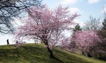 Слънчево време в неделя