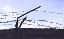 Затвор за първоаприлски шеги за коронавируса предвиждат някои държави