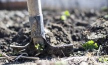 Апелът на земеделците: Борбата с COVID-19 да не стане игра на глада