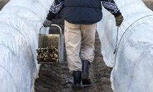 Български производител: 80% от земеделците у нас са на ръба на оцеляването