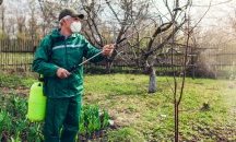 Започна борбата срещу кърлежите в столичните паркове