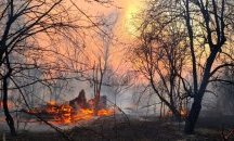 Десети ден бушува голям пожар край Чернобил