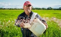 Близо 445 млн. лева зелени плащания за земеделските стопани