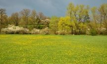 Какво време ни очаква до края на април?