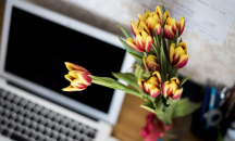 Удължават срока на електронното преброяване до края на септември