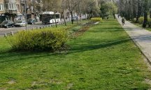Пръскат против комари и кърлежи в София