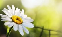 До 26 градуса в събота