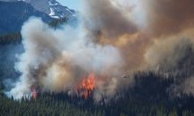 Два пожара горят в област Стара Загора