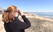 Откриха много мъртви птици на бургаски плаж