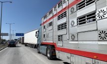 Росен Желязков: 85% от големите превозвачи не функционират