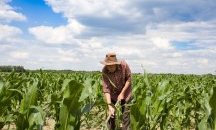 Ирландия обезпокоена заради български сезонни работници по време на пандемията