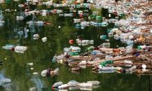 Варненското езеро е пред екокатастрофа заради огромно количество отпадни води