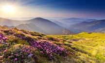 Седмицата започва със слънце