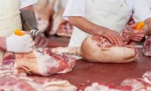 Българи са заразени с коронавирус в германска кланица, властите у нас нямат данни