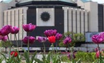 НДК съкращава 30% от персонала си заради кризата