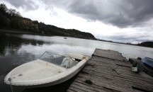 Маслени петна и умряла риба в Панчаревското езеро