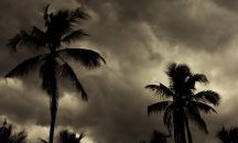Тропическата буря Аманда достигна Гватемала и Салвадор и отне живота на поне 14 души