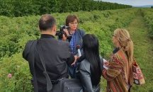 Нинова: Нужна е безвъзмездна помощ за розопроизводителите