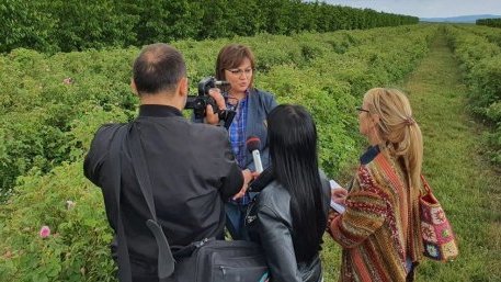 Нинова: Нужна е безвъзмездна помощ за розопроизводителите