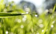 Краткотрайни валежи и гръмотевици в неделя