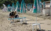Министерството на туризма проверява северния плаж в Бургас