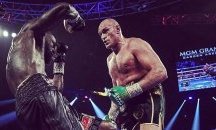 Фюри: Кариерата на Уайлдър щеше да свърши, ако не бяха спрели битката ни