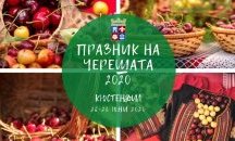 Празник на черешата в Кюстендил няма да има