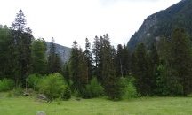 Природен парк „Рилски манастир“ отбелязва своята 20-а годишнина