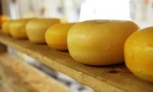 БАБХ откри Листерия в кашкавала на пазара