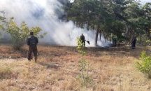 11-годишно дете е причинило пожара в Девин