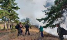 Локализиран е пожарът край село Дълбоки