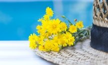 Пореден горещ ден, живакът скача до 39 градуса