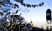 „Песен за Банкя“: Бюджетът едва 1800 лв., резултатът – безценен