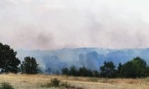 Пожарът в Хасковско е овладян