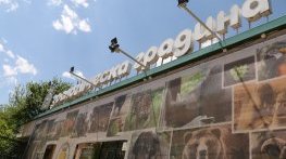 Столичният зоопарк с най-добрите условия на Балканите