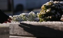 Сняг в Бразилия и рекордно ниски температури