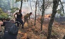 Военни и доброволци помагат при овладяването на пожара в Сакар планина