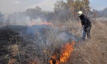 Пожарите в Хасковско и Стара Загора са овладени
