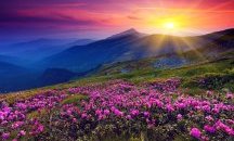 Изпращаме седмицата със слънчево време