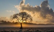 Ще бъде слънчево, с температури до 30°